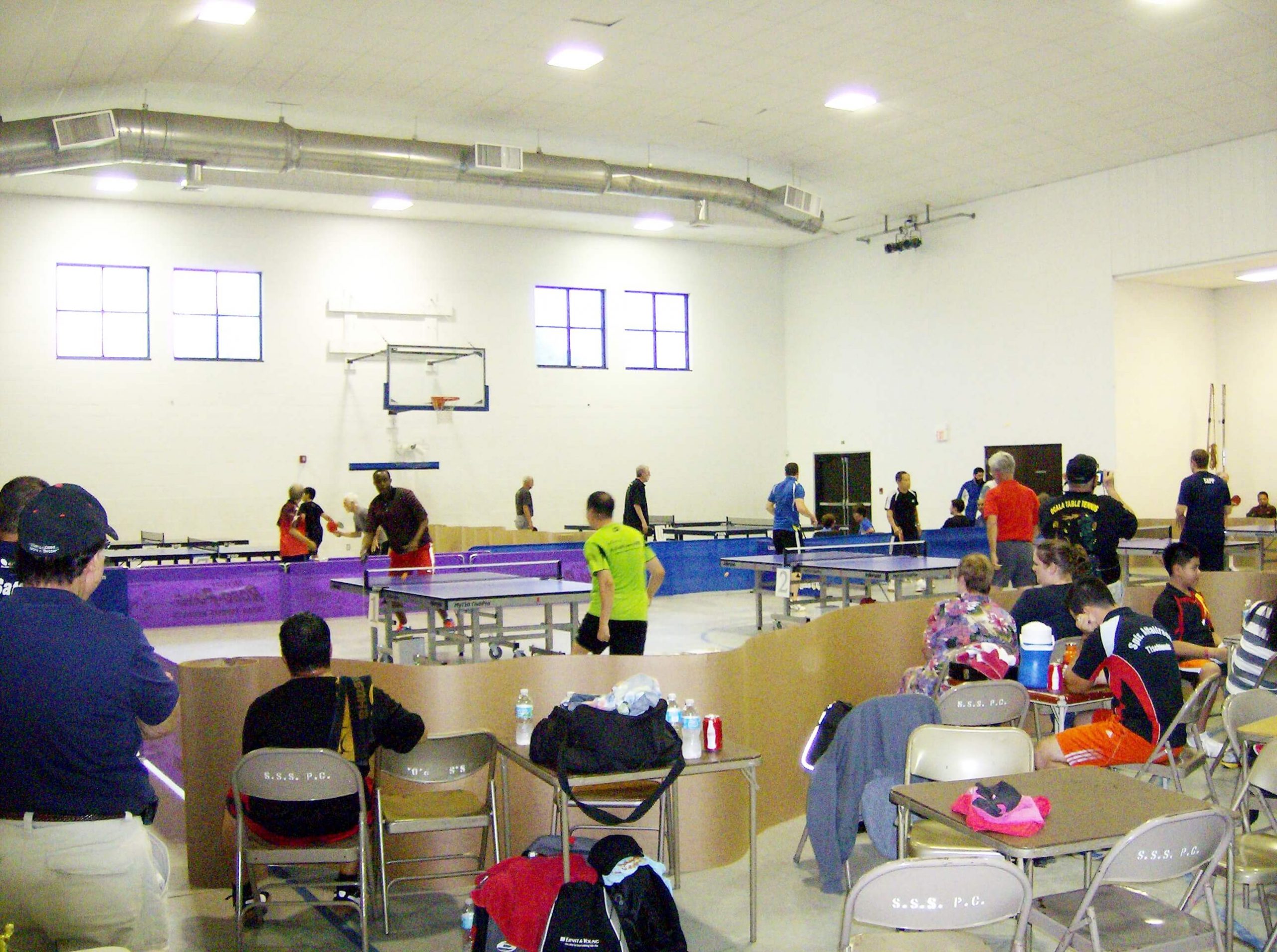 Ping_pong_273181